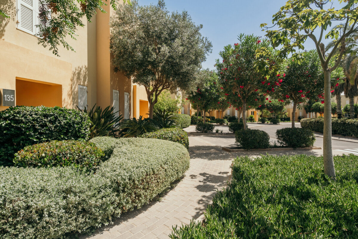  Palm City, Tripoli