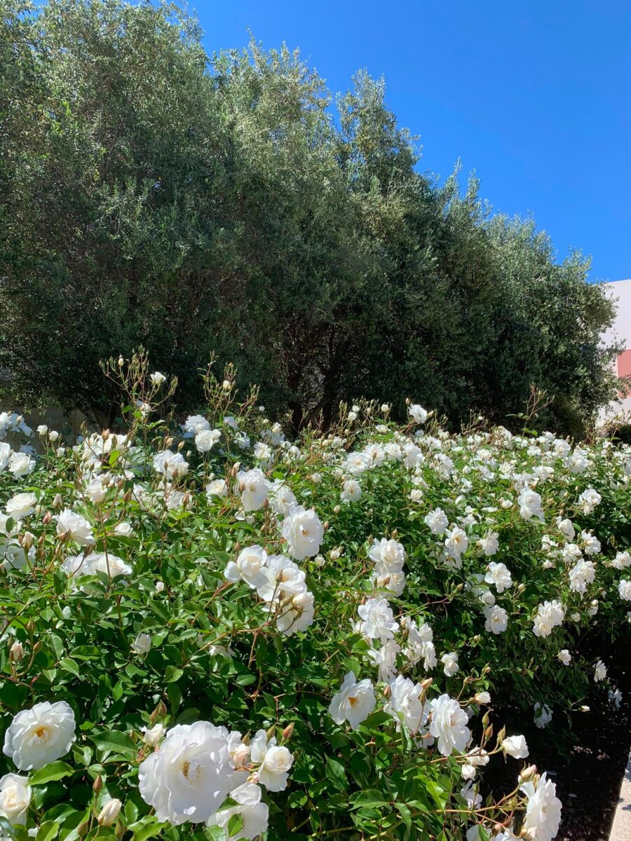 Private  Residence, Qormi