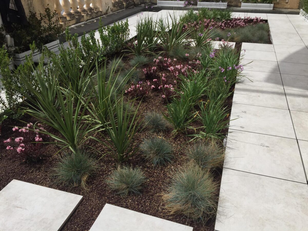 Roof Garden, Valletta